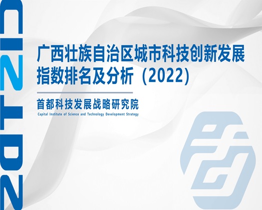 刁逼视频免费看【成果发布】广西壮族自治区城市科技创新发展指数排名及分析（2022）